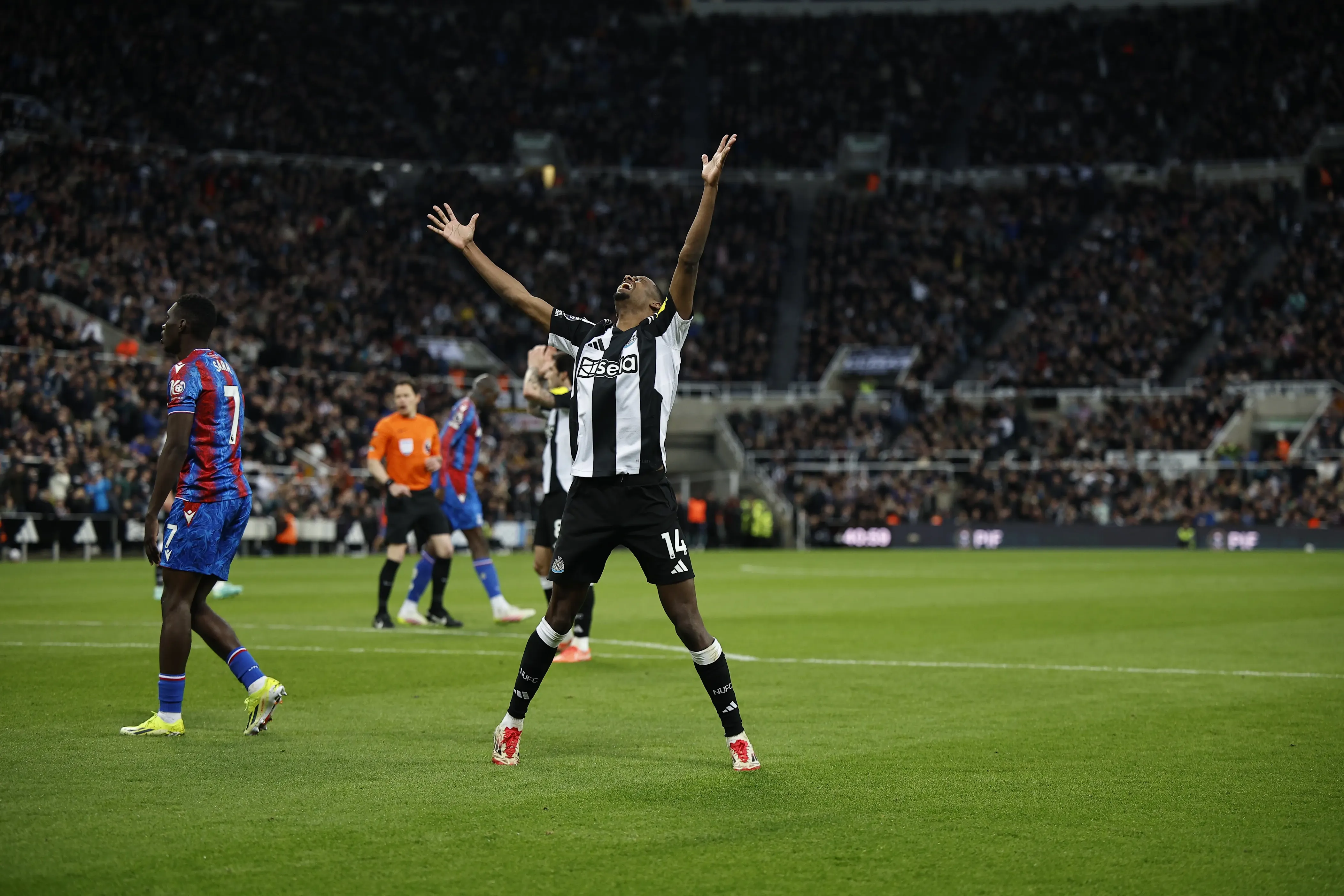 达尔, 纽卡斯尔联, 安排的采访